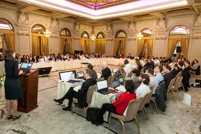 ERGP Plenary Meeting, Bucharest 2014