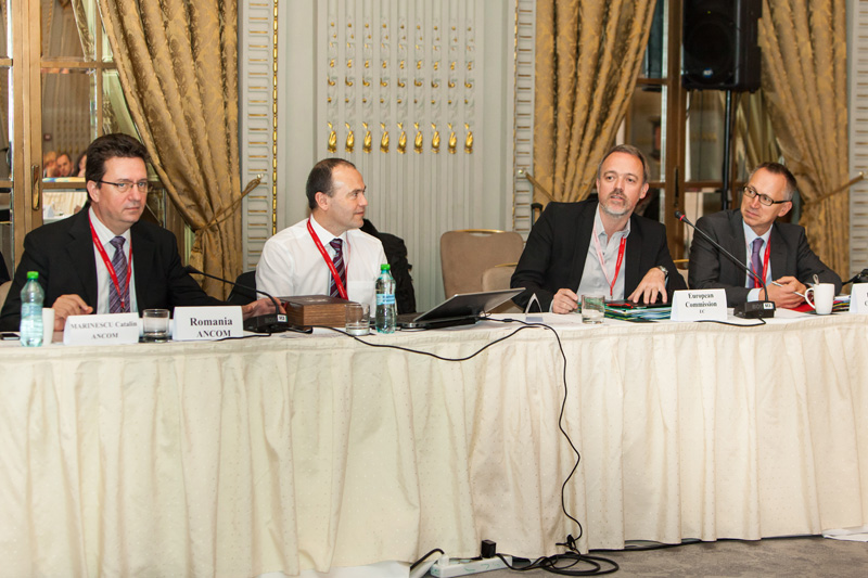 ERGP Plenary Meeting, Bucharest 2014